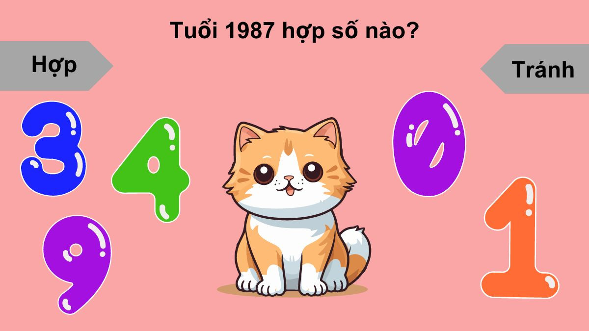 Sinh năm 1987 mệnh gì và con số hợp khắc