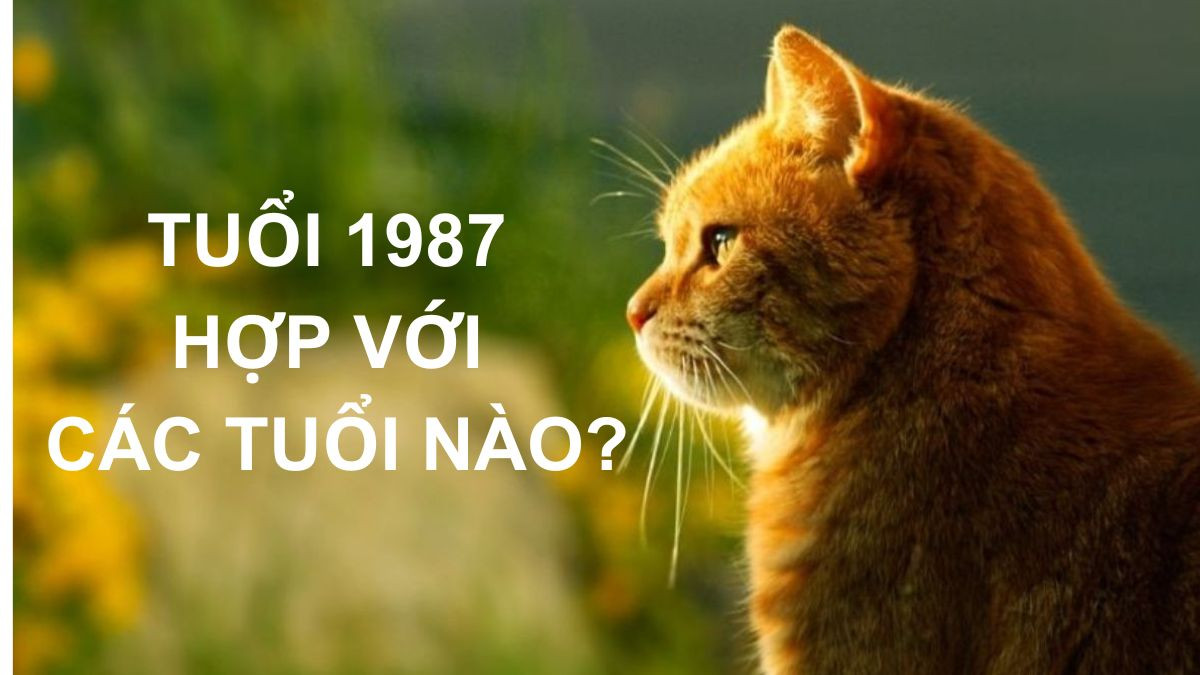 Sinh năm 1987 mệnh gì và tuổi hợp khắc