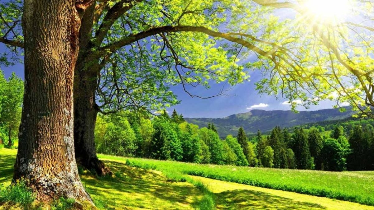 Năm sinh 2010 mệnh gì