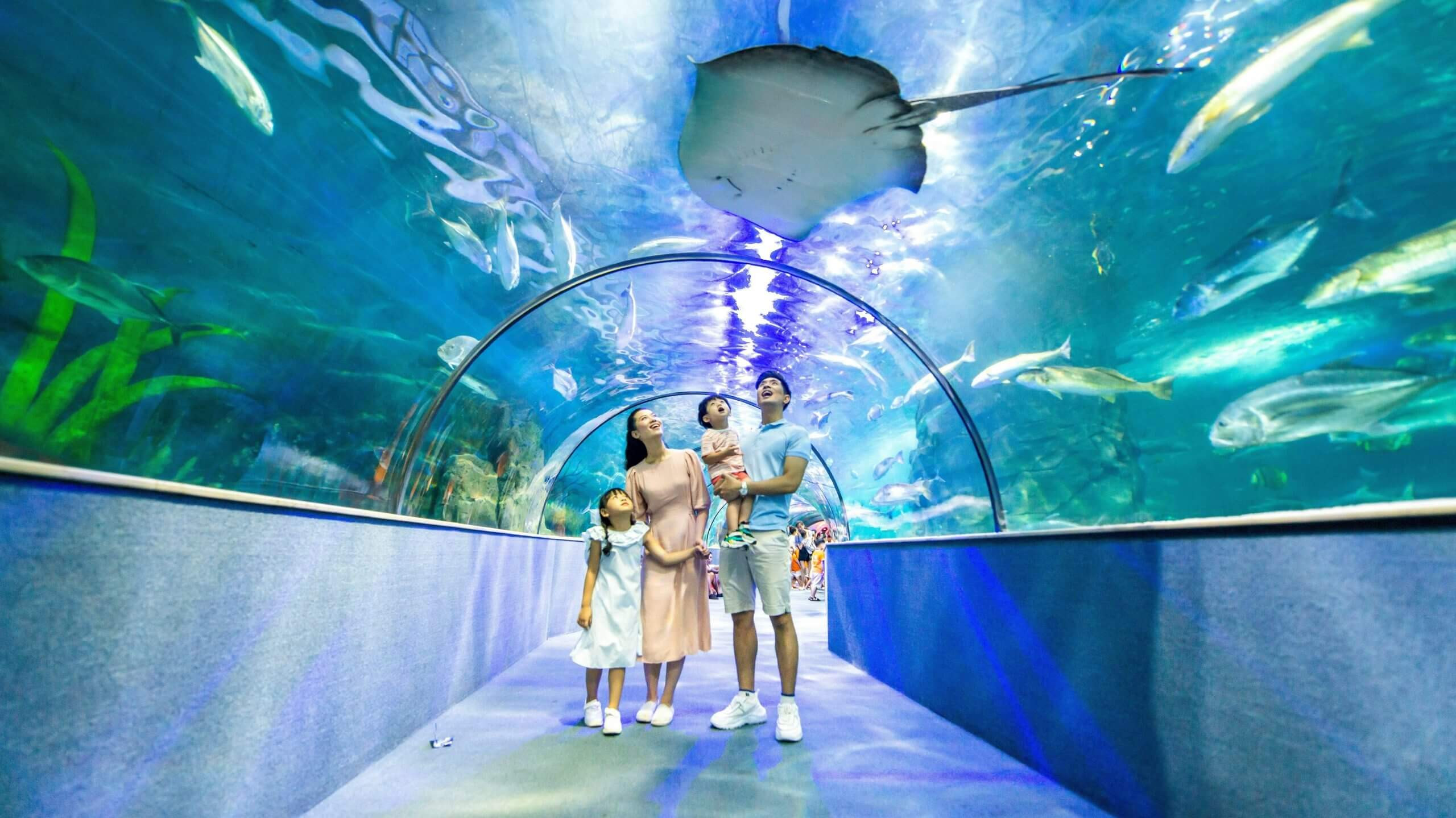 Thủy cung Vinpearl Aquarium với không gian đại dương kỳ ảo