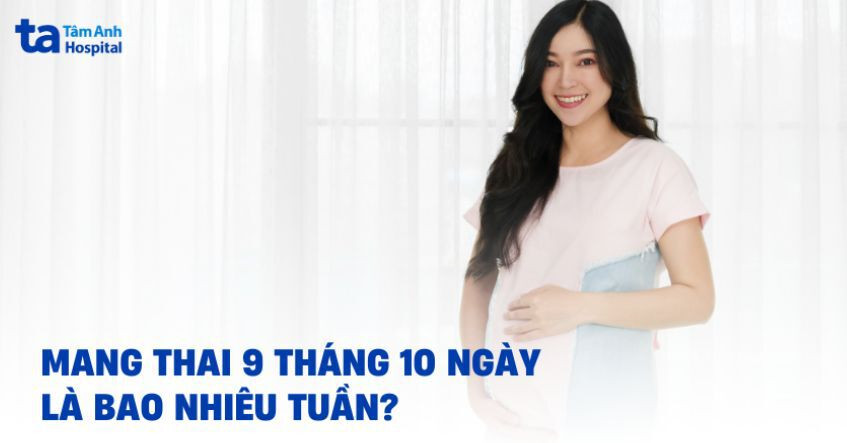 Hình ảnh mẹ bầu và thai nhi, biểu tượng cho hành trình 9 tháng 10 ngày diệu kỳ