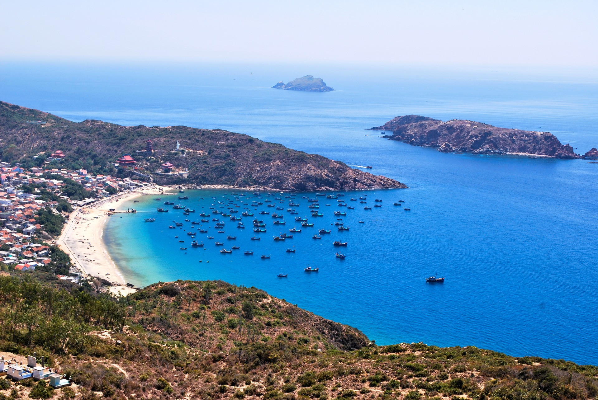 Bãi biển Quy Nhơn với dải cát trắng và hàng dừa xanh mướt