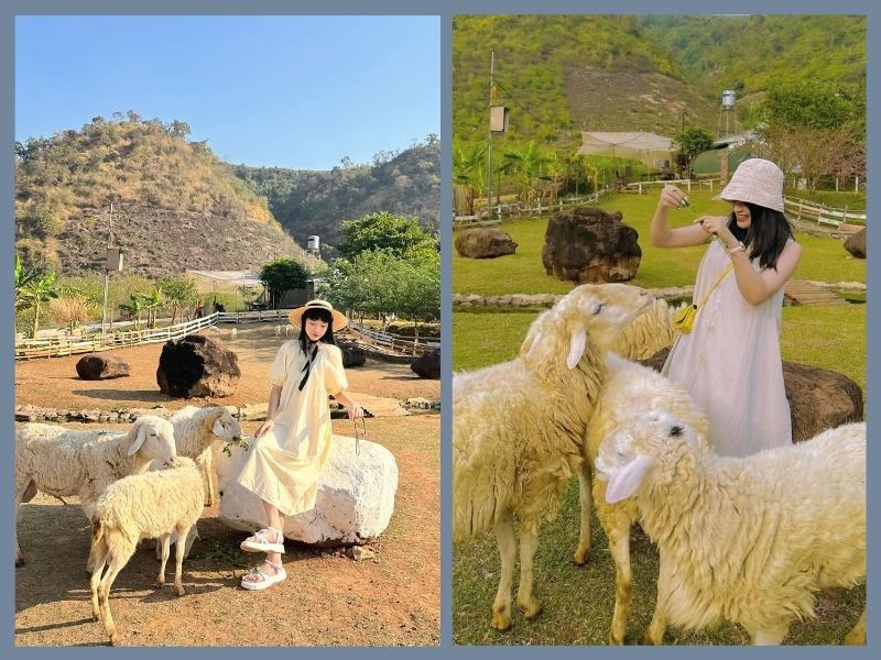 Cô gái mặc váy suông trắng, đội mũ rộng vành và đi sandal tạo dáng trên đồi chè