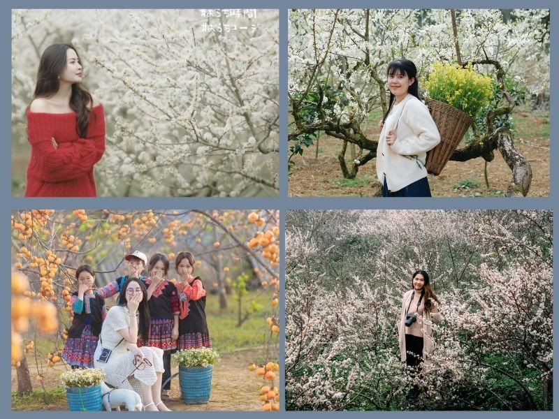 Du khách tạo dáng trên đồi chè xanh mướt Mộc Châu