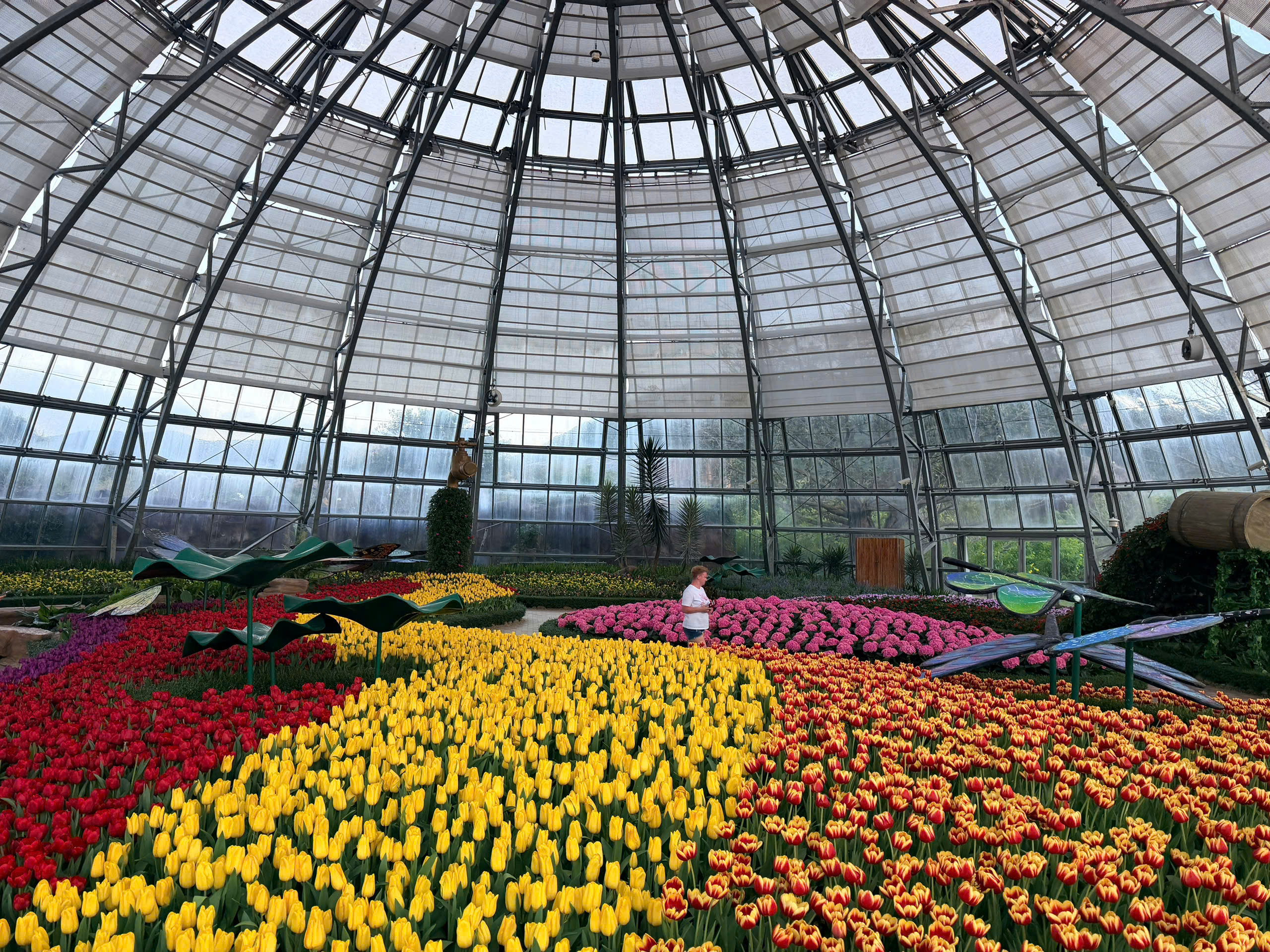 Lạc bước trong vương quốc hoa rực rỡ sắc màu tại Đồi Vạn Hoa