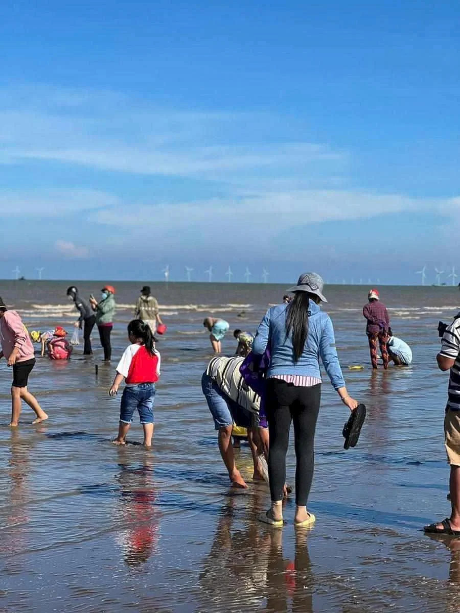 Du khách tham gia trải nghiệm cào nghêu tại Biển Tân Thành, Gò Công