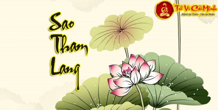 Minh họa một lá số tử vi với các cung vị và sao chính