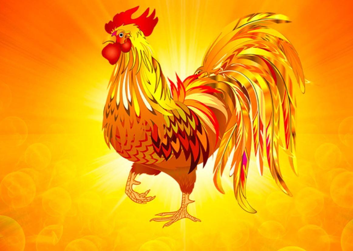 Tử vi năm 2025 Đinh Dậu 1957 nam mạng