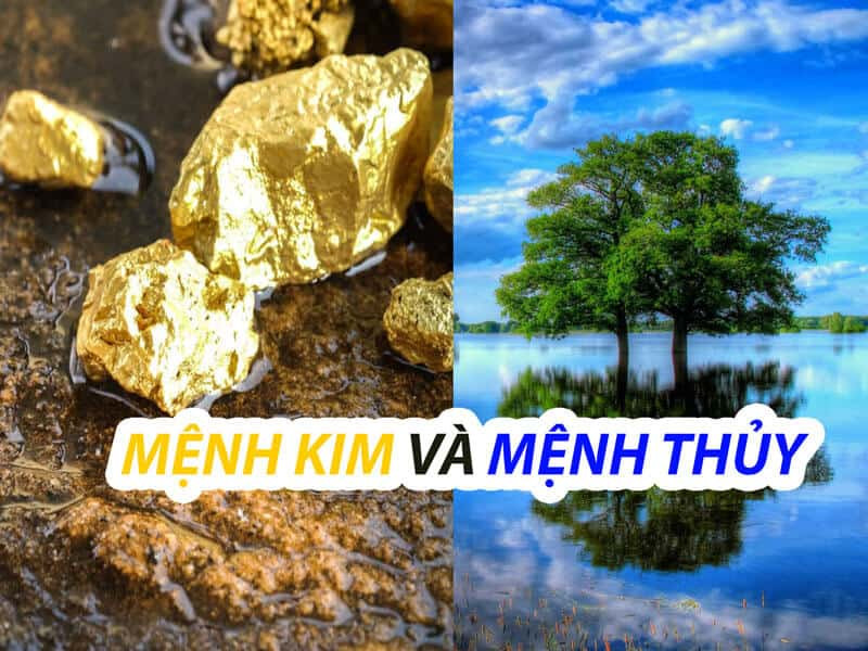 Kim và Thủy là hai yếu tố tương sinh, hỗ trợ lẫn nhau để tạo ra năng lượng tích cực