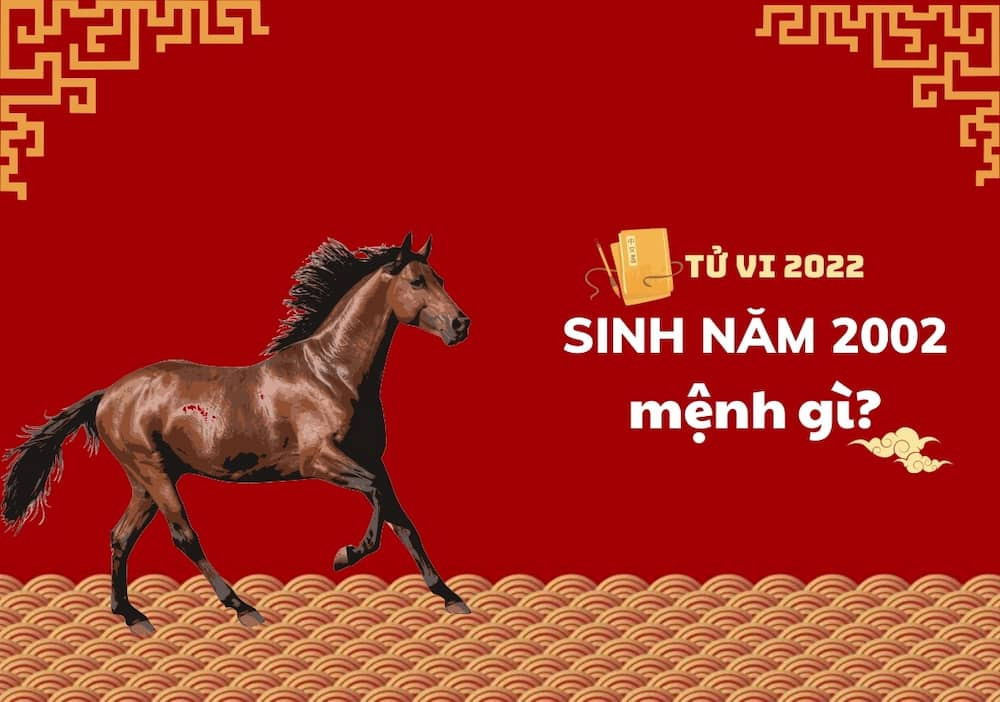 Người sinh năm 2002 thuộc mệnh gì?