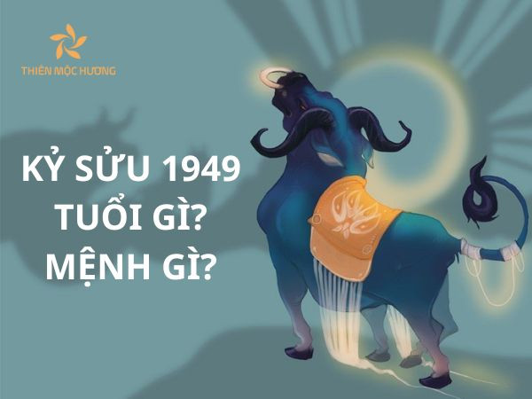 Người đàn ông tuổi Kỷ Sửu 1949 đang suy tư trong không gian yên bình