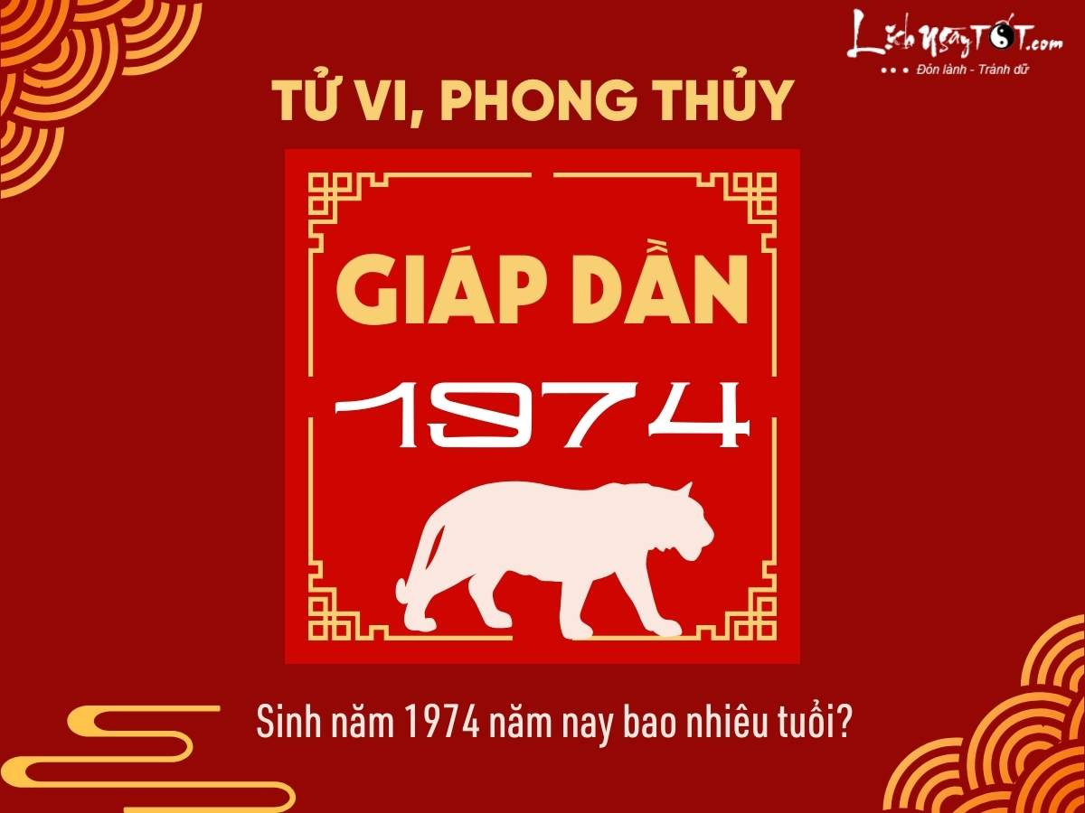 Hình ảnh một người lớn tuổi đang suy tư, minh họa cho người sinh năm 1974