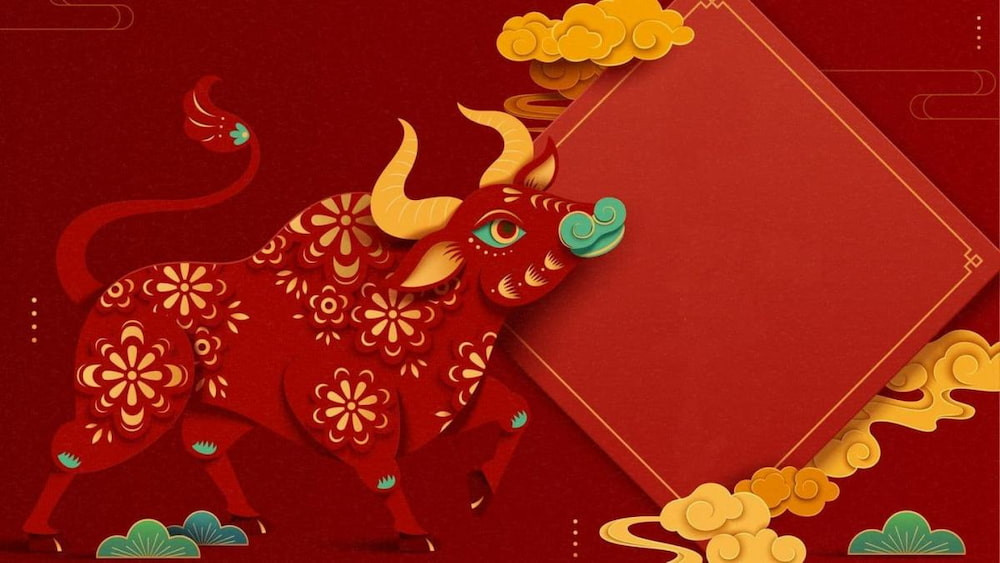 Tuổi Quý Sửu 1973 là trụ cột gia đình