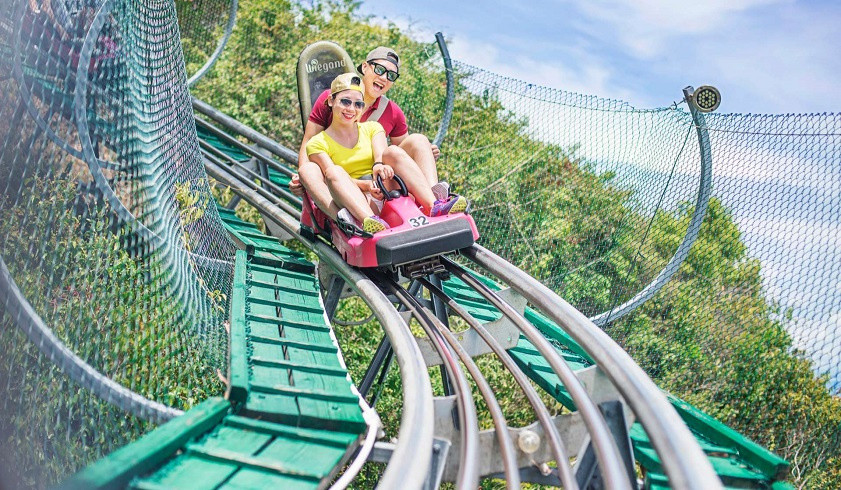 Đường lượn nhớ đời – Alpine Coaster tại phân khu Fairy Land