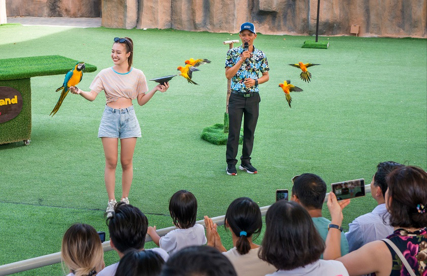 Màn trình diễn của các chú chim đáng yêu tại King’s Garden