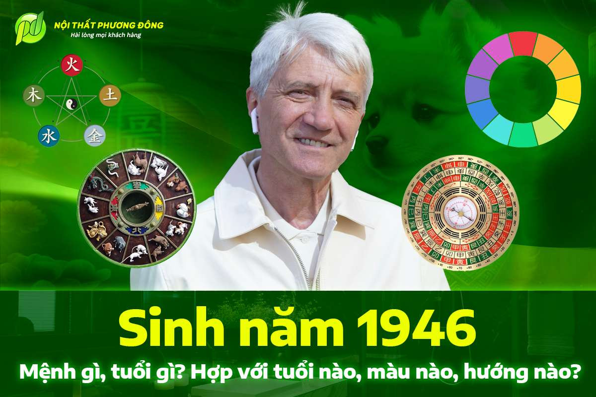 Mô tả tổng quan về người tuổi Bính Tuất 1946 và những đặc điểm cơ bản