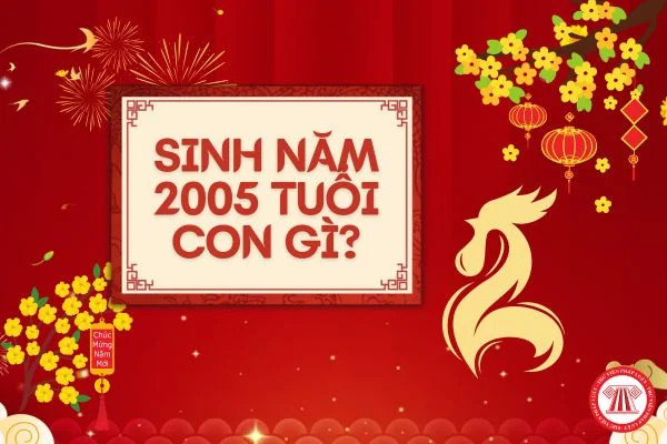 Người sinh năm 2005 tuổi Ất Dậu mang mệnh Tuyền Trung Thủy, cầm tinh con Gà, có tính cách linh hoạt và sâu sắc