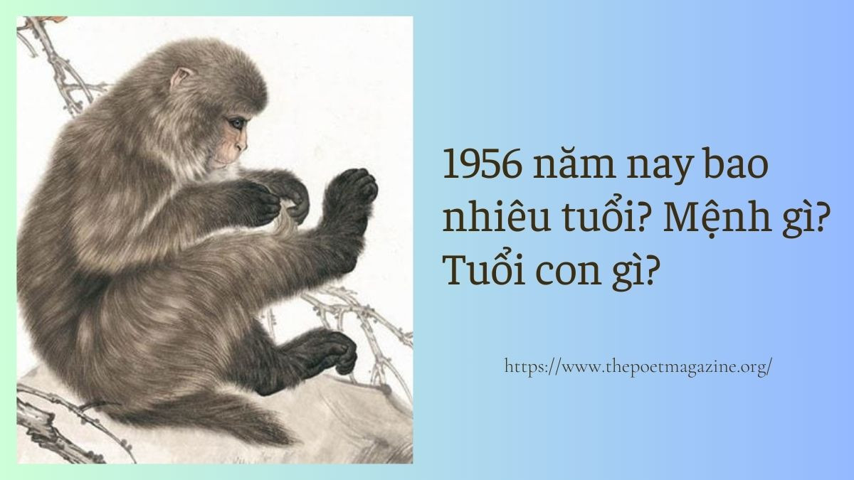 Hình ảnh một chú khỉ đại diện cho tuổi Thân