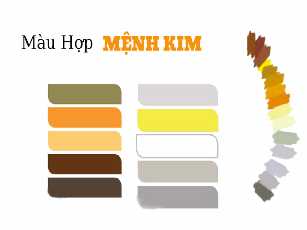 Màu sắc hợp mệnh giúp người tuổi Giáp Tý 1984 thu hút tài lộc, may mắn