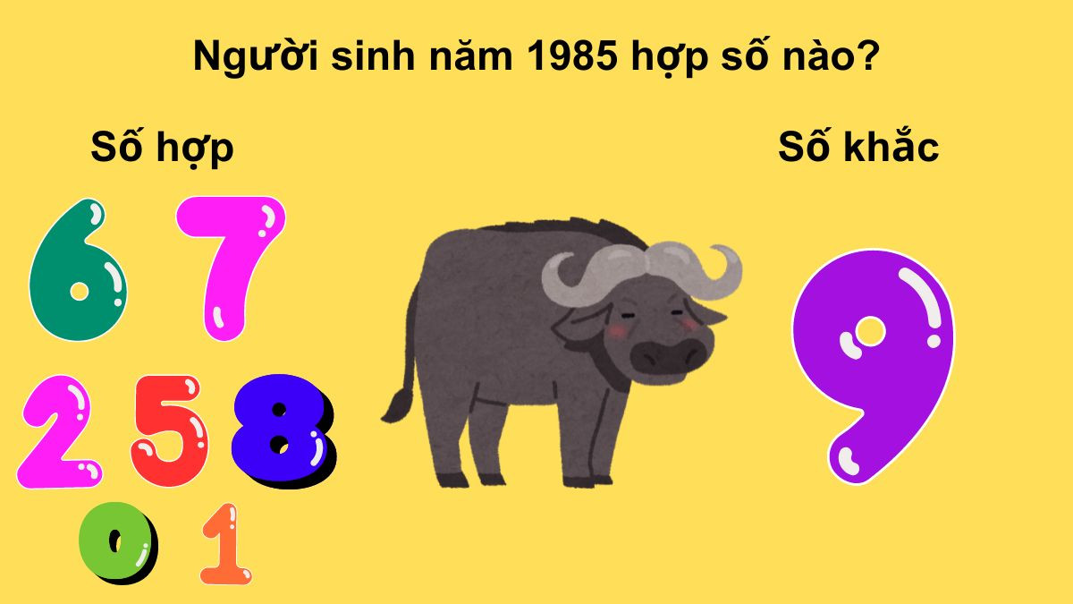 sinh năm 1985 hợp số nào