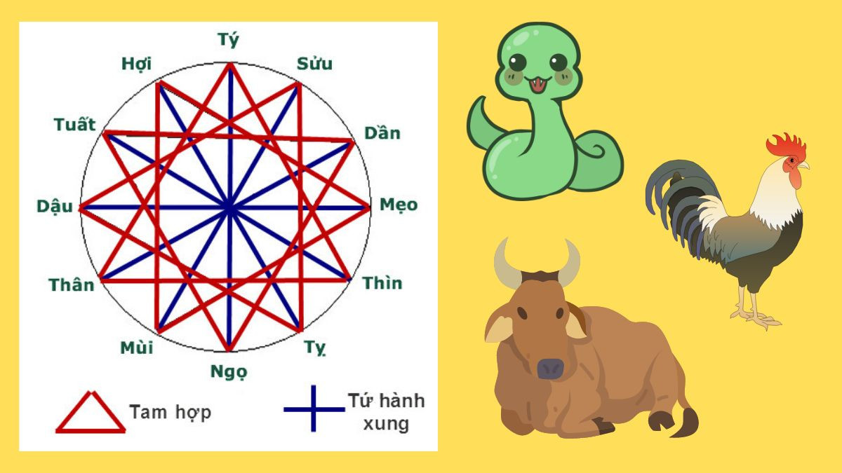1985 hợp tuổi nào