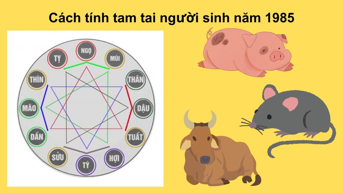 tính tam tai người sinh năm 1985