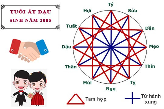 Mối quan hệ tam hợp, tứ hành xung với người tuổi Thìn