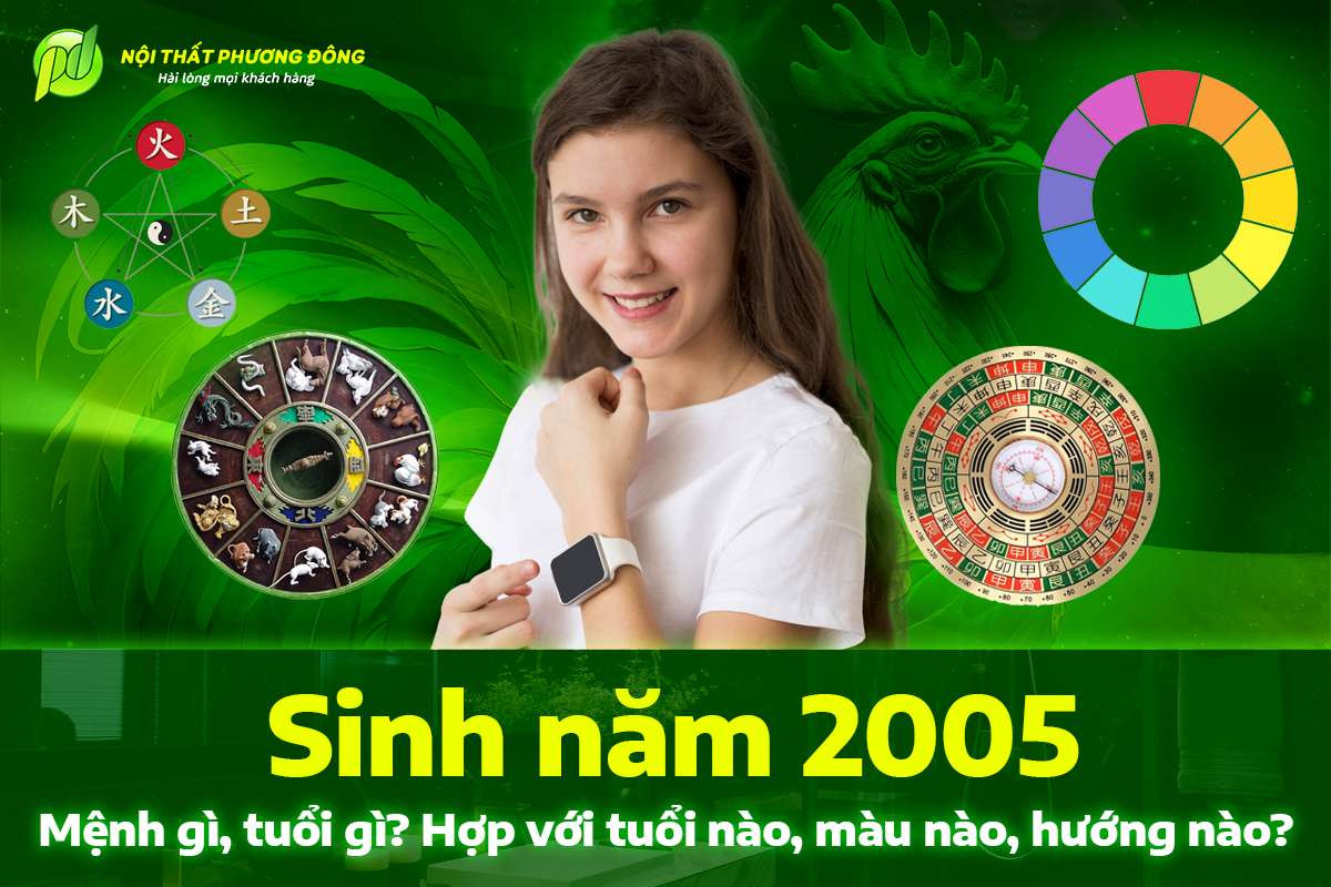 Sinh năm 2005 mệnh gì, tuổi gì, hợp với người tuổi nào, hướng nào?
