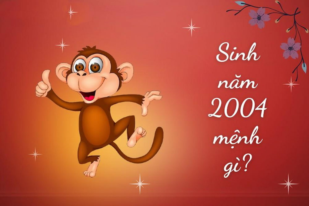Giải đáp thắc mắc sinh năm 2004 mệnh gì?