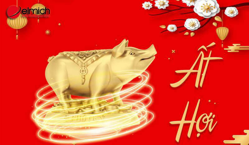 Thông tin cơ bản về người tuổi Ất Hợi 1995