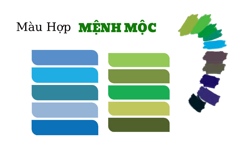 Bảng màu sắc hợp với người tuổi Nhâm Ngọ 2002 theo phong thủy