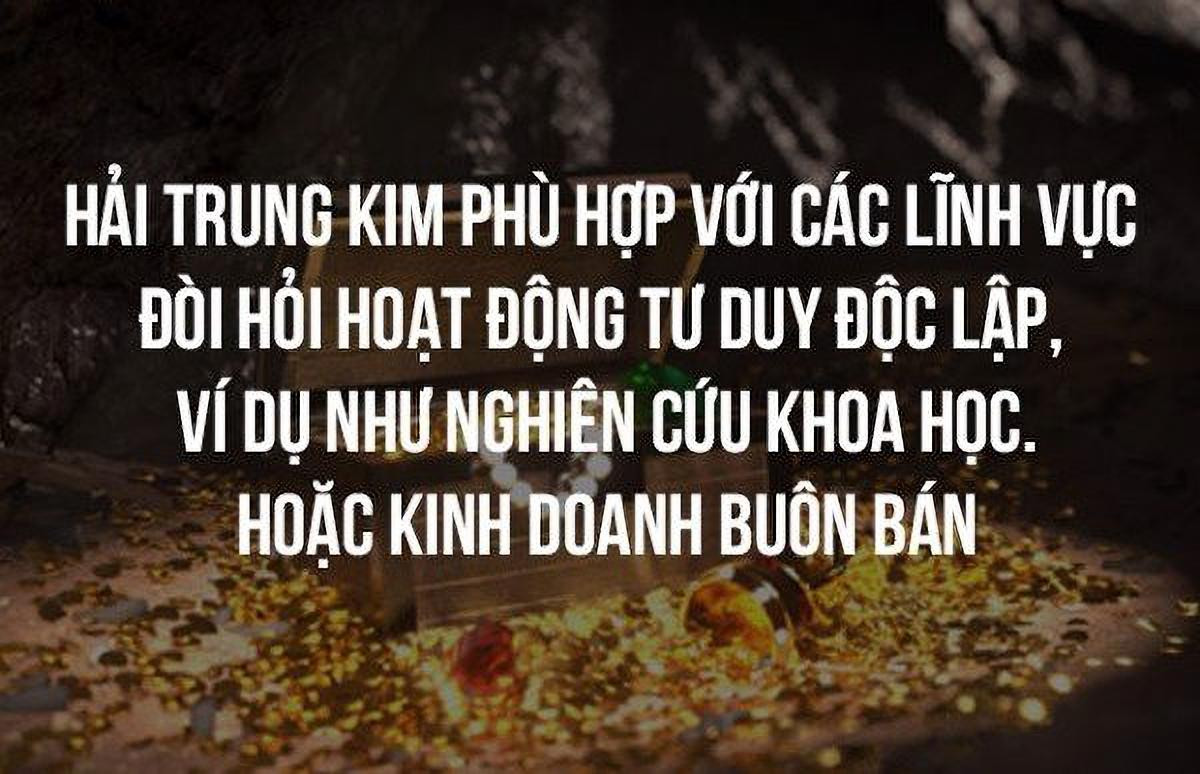 Lĩnh vực công việc phù hợp nhất cho người mệnh Hải Trung Kim, thường là những ngành đòi hỏi sự tỉ mỉ và kiên nhẫn