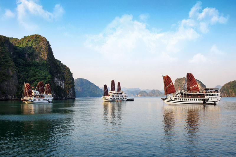 Du thuyền Hạ Long neo đậu giữa kỳ quan thiên nhiên