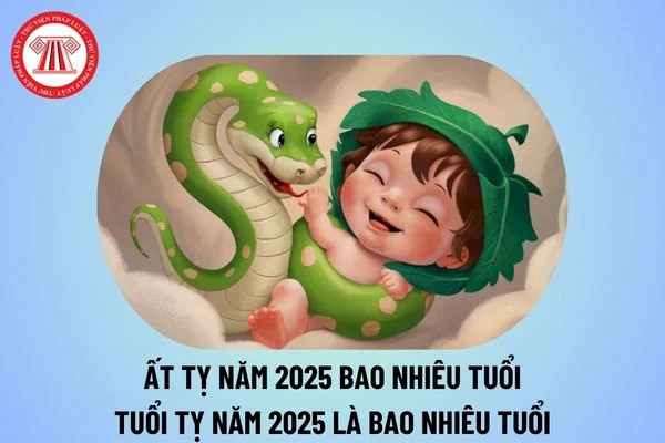 Bảng tổng hợp tuổi Tỵ trong năm 2025