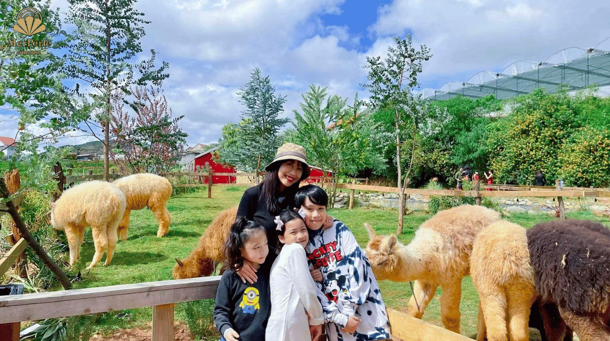 Trải nghiệm làm nông và vui chơi cùng thỏ tại Bunny Hill Farm & Homestay