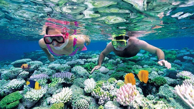 Toàn cảnh Hòn Yến từ trên cao, nhìn rõ các rạn san hô khi thủy triều rút