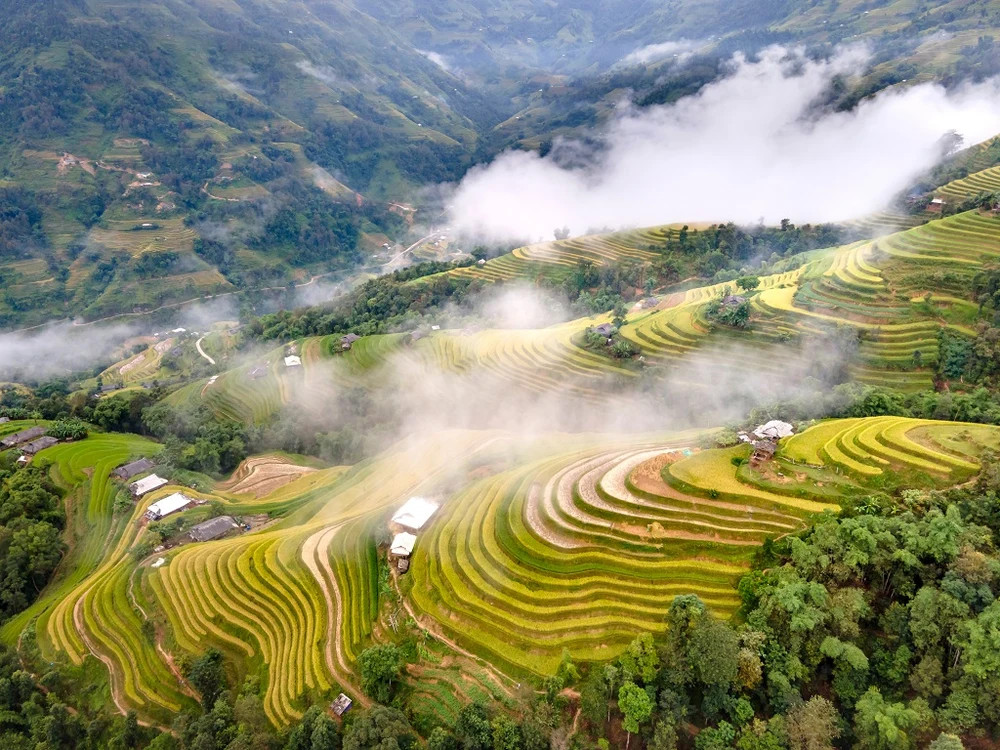 Những thửa ruộng bậc thang Hoàng Su Phì uốn lượn tựa dải lụa mềm mại