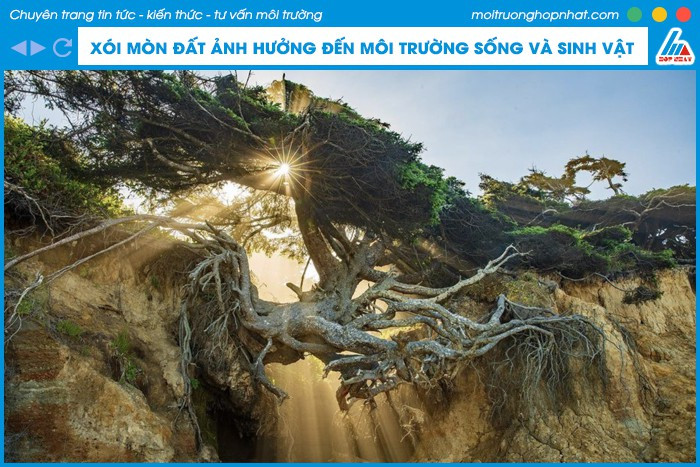 Mảnh đất bị xói mòn nghiêm trọng ảnh hưởng đến canh tác và môi trường