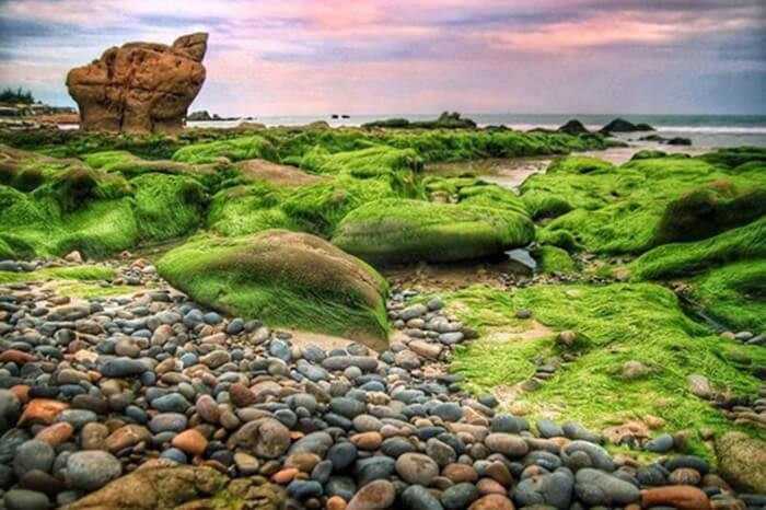 Bãi đá phủ rêu xanh ngắt khi mùa rêu về tại Cổ Thạch